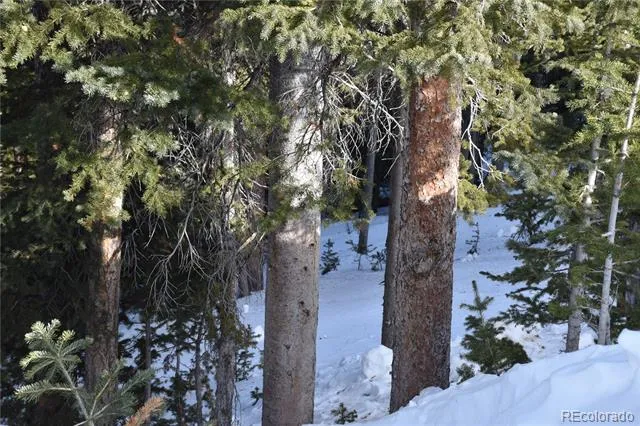 404 Carroll Lane Breckenridge, CO 80424