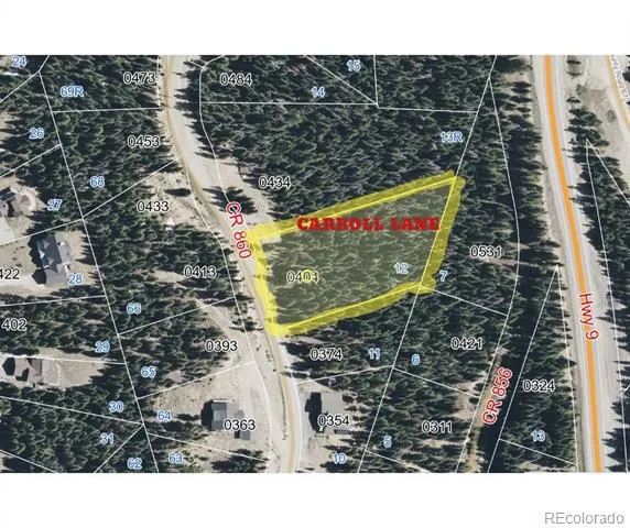 404 Carroll Lane Breckenridge, CO 80424