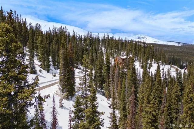 404 Carroll Lane Breckenridge, CO 80424