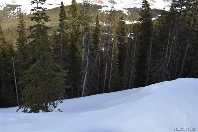 404 Carroll Lane Breckenridge, CO 80424