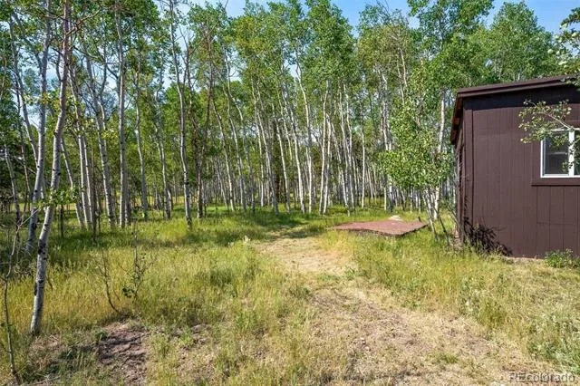 106 Forest Court Florissant, CO 80816