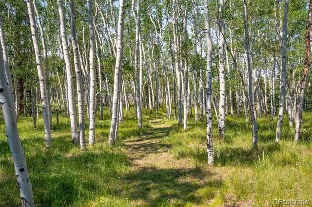 106 Forest Court Florissant, CO 80816