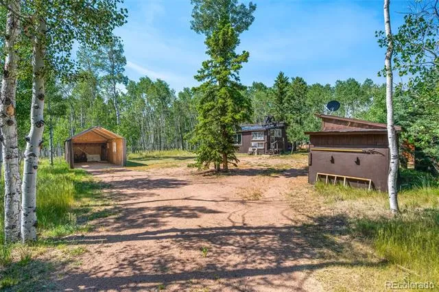 106 Forest Court Florissant, CO 80816