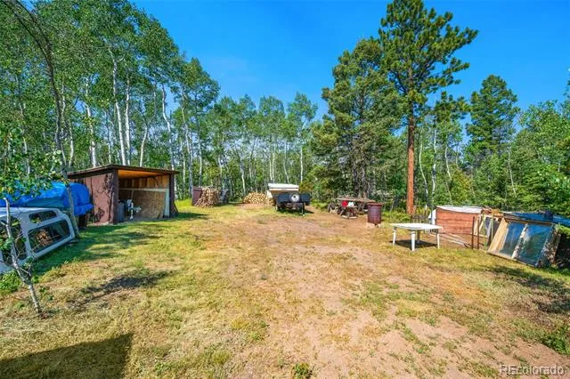 106 Forest Court Florissant, CO 80816