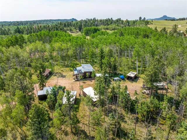 106 Forest Court Florissant, CO 80816