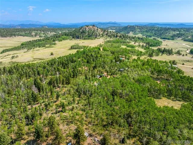 106 Forest Court Florissant, CO 80816