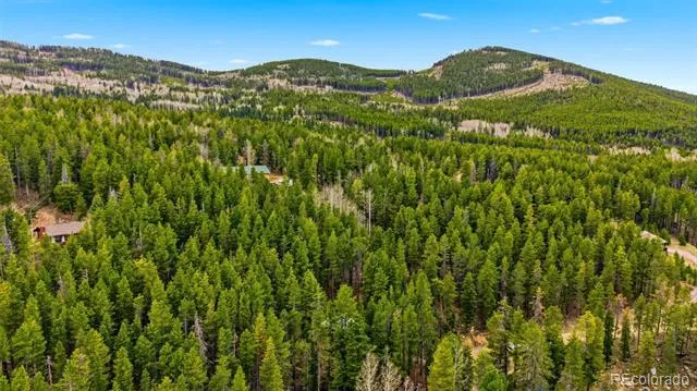 154 Apache Road Evergreen, CO 80439