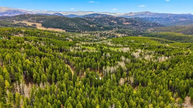 154 Apache Road Evergreen, CO 80439