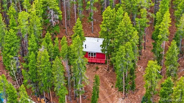 154 Apache Road Evergreen, CO 80439