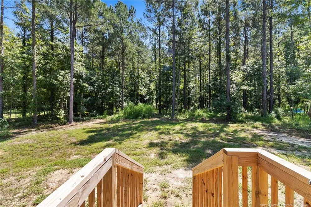 4523 Mercer Mill Brown Marsh Road Clarkton, NC 28433