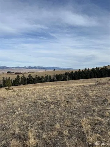 000 Louisiana Ridge