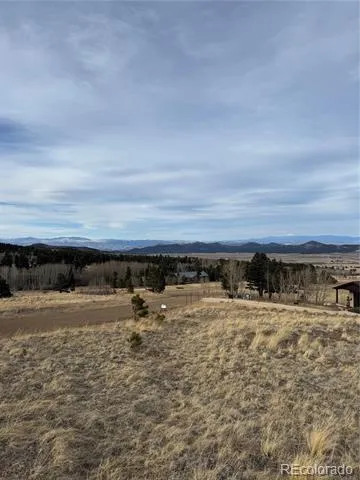 000 Louisiana Ridge Westcliffe, CO 81252