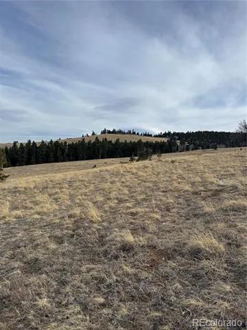 000 Louisiana Ridge Westcliffe, CO 81252