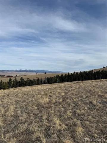 000 Louisiana Ridge Westcliffe, CO 81252