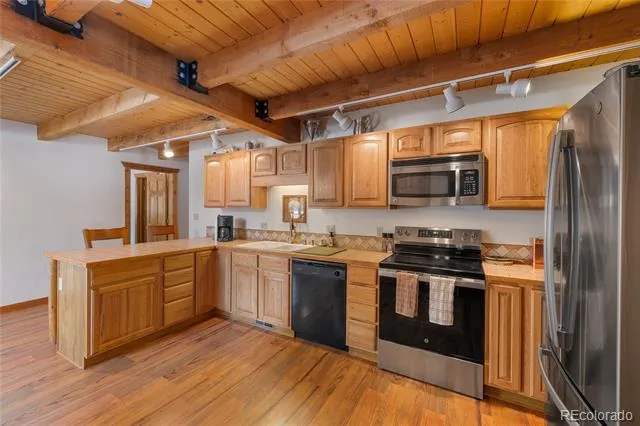 353 Wood Rose Way Leadville, CO 80461