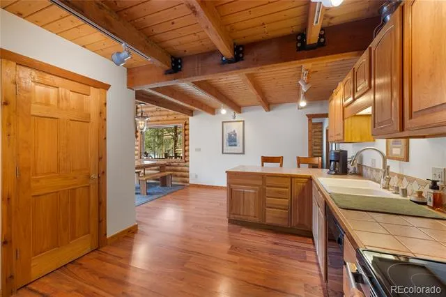 353 Wood Rose Way Leadville, CO 80461