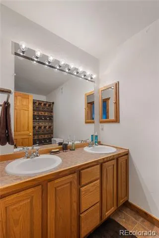 353 Wood Rose Way Leadville, CO 80461