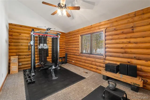 353 Wood Rose Way Leadville, CO 80461