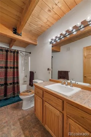 353 Wood Rose Way Leadville, CO 80461