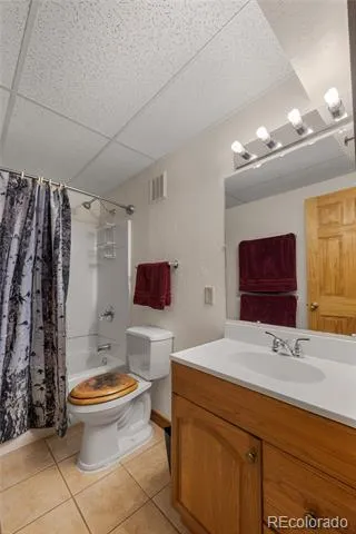 353 Wood Rose Way Leadville, CO 80461