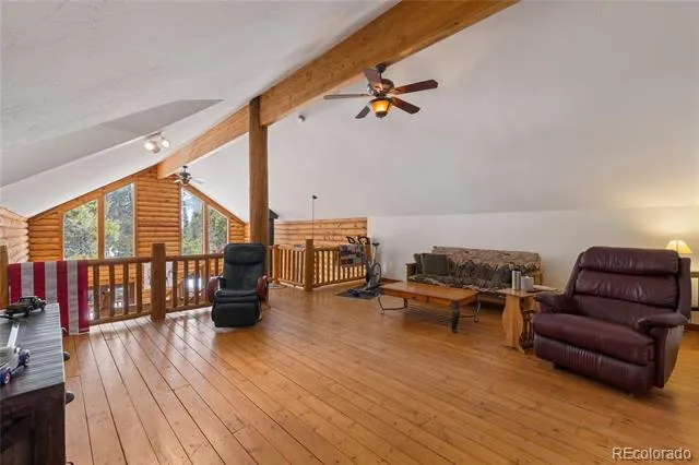 353 Wood Rose Way Leadville, CO 80461