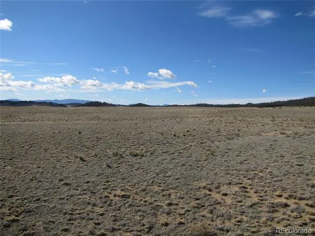 346 Cherokee Trail Hartsel, CO 80449