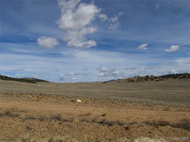 346 Cherokee Trail Hartsel, CO 80449