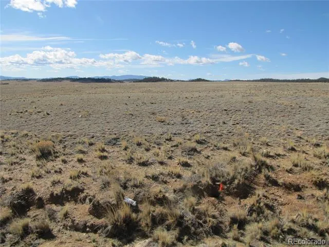 346 Cherokee Trail Hartsel, CO 80449