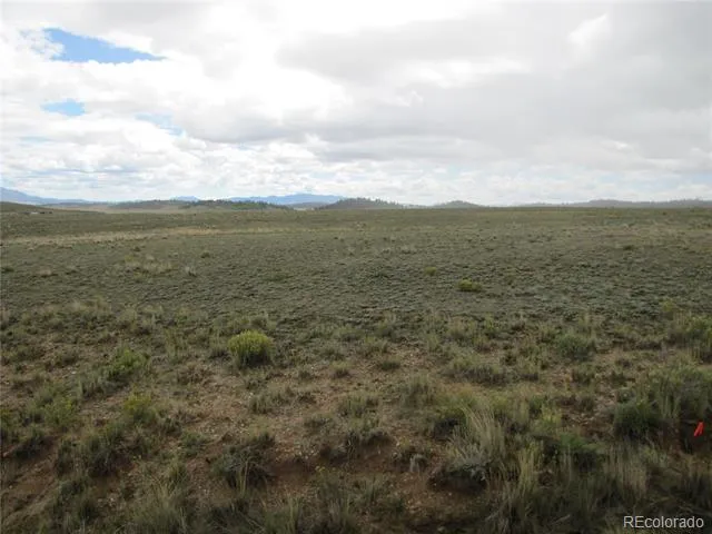 346 Cherokee Trail Hartsel, CO 80449