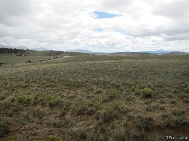 346 Cherokee Trail Hartsel, CO 80449