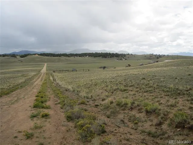 346 Cherokee Trail Hartsel, CO 80449