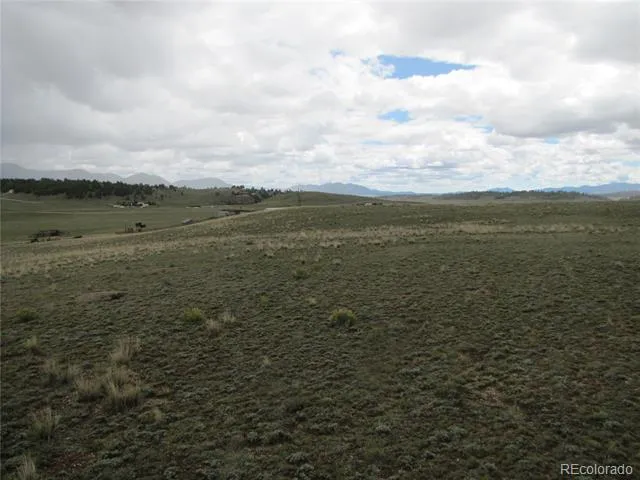 346 Cherokee Trail Hartsel, CO 80449