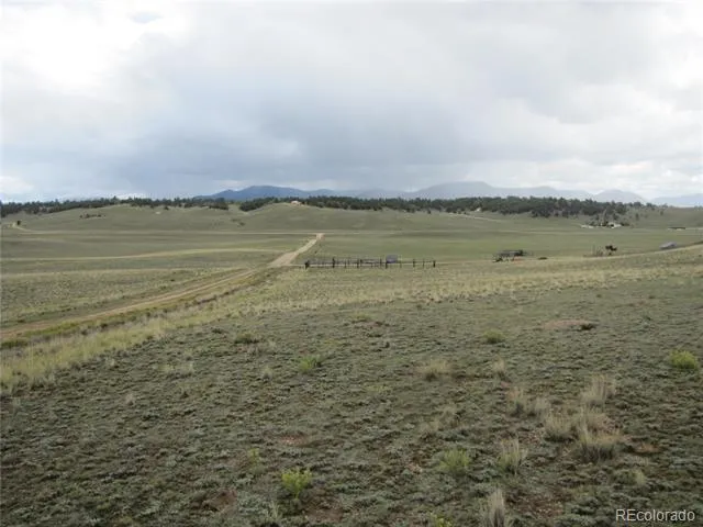 346 Cherokee Trail Hartsel, CO 80449