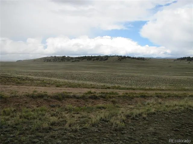 346 Cherokee Trail Hartsel, CO 80449