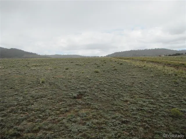 346 Cherokee Trail Hartsel, CO 80449