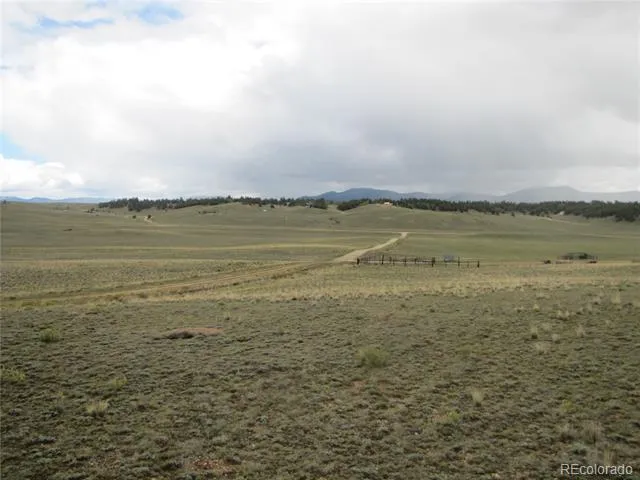 346 Cherokee Trail Hartsel, CO 80449