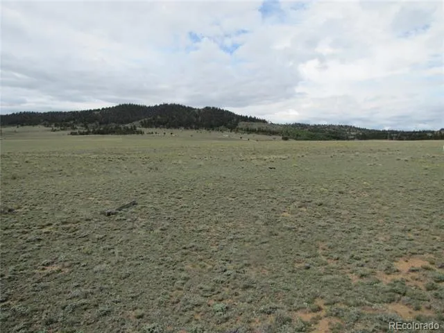 346 Cherokee Trail Hartsel, CO 80449