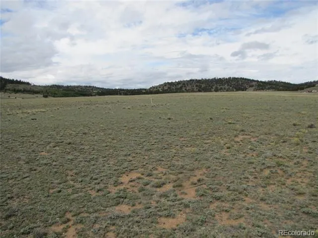 346 Cherokee Trail Hartsel, CO 80449