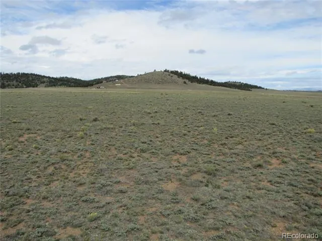 346 Cherokee Trail Hartsel, CO 80449