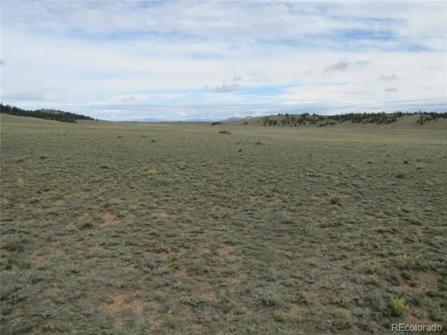 346 Cherokee Trail Hartsel, CO 80449