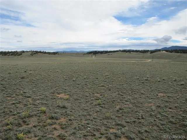 346 Cherokee Trail Hartsel, CO 80449