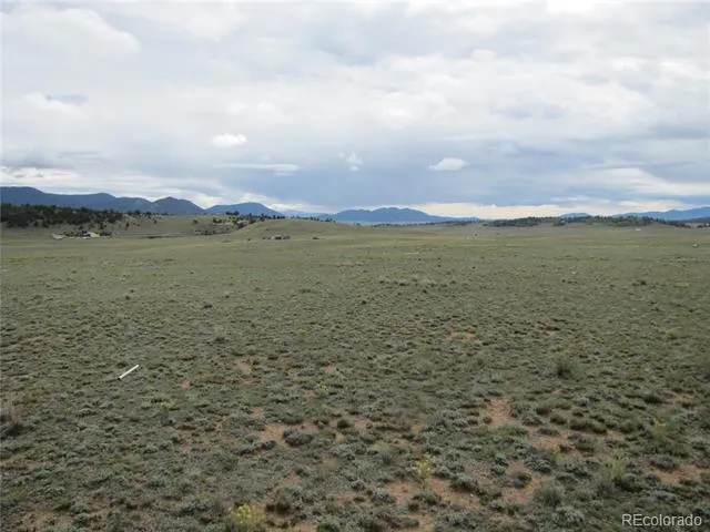 346 Cherokee Trail Hartsel, CO 80449