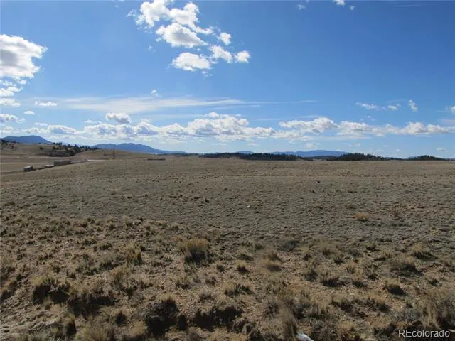 346 Cherokee Trail Hartsel, CO 80449