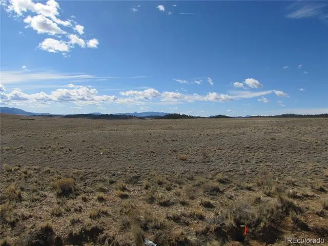 346 Cherokee Trail Hartsel, CO 80449