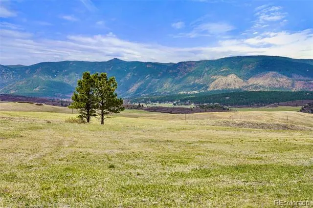 3 S Perry Park Road Larkspur, CO 80118
