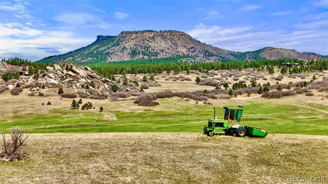 3 S Perry Park Road Larkspur, CO 80118