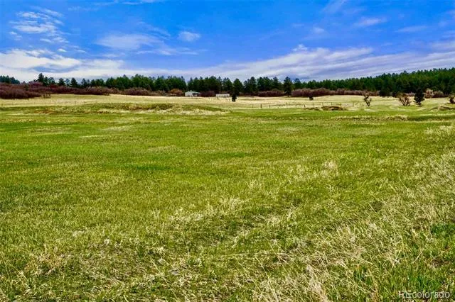 3 S Perry Park Road Larkspur, CO 80118