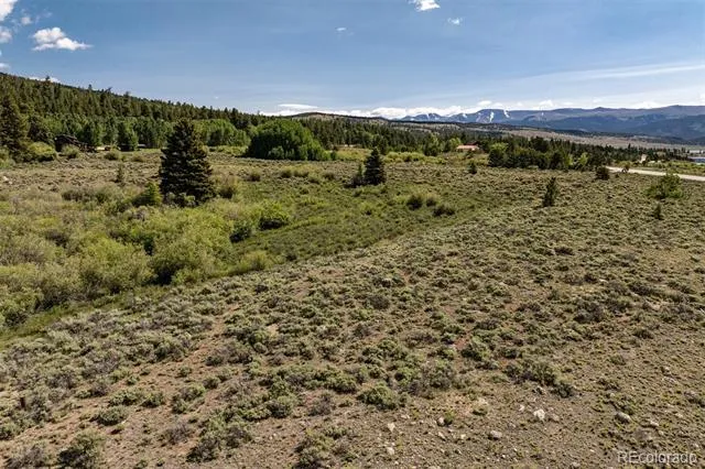Address Not Shown Twin Lakes, CO 81251