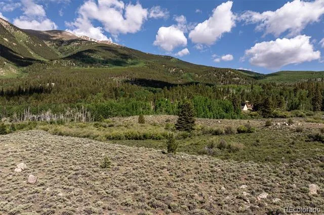 Address Not Shown Twin Lakes, CO 81251