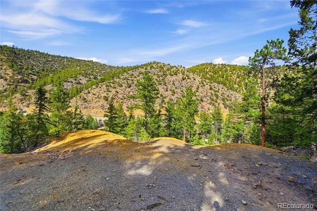 2238 Stanley Road Idaho Springs, CO 80452